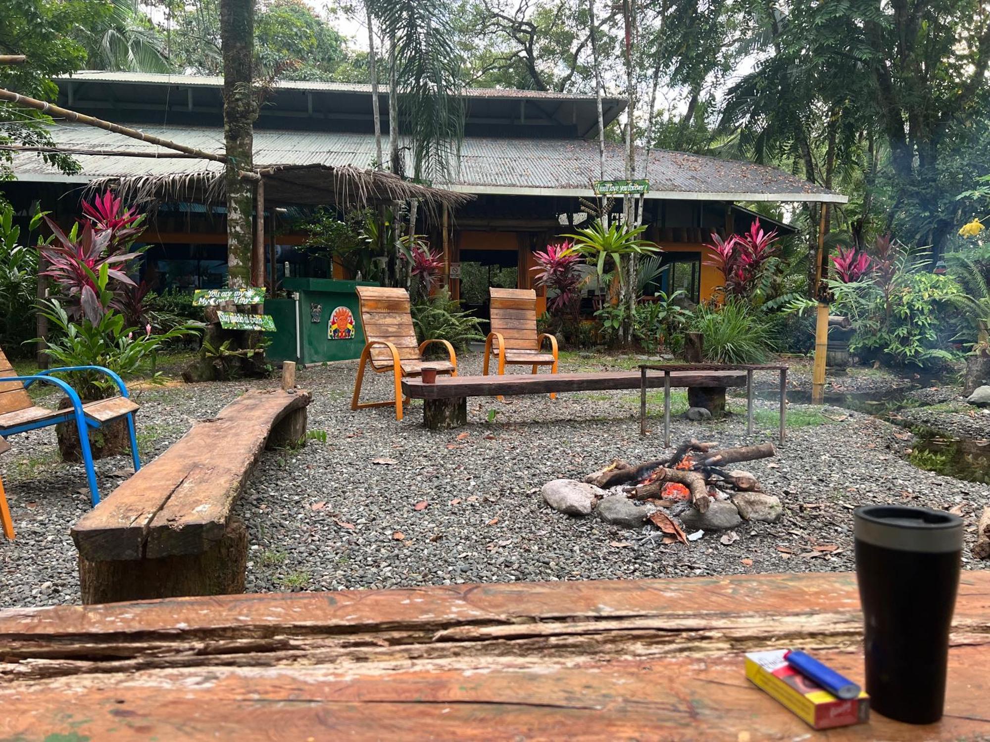 La Palapa Hut Nature Hostel Puerto Jimenez Ngoại thất bức ảnh